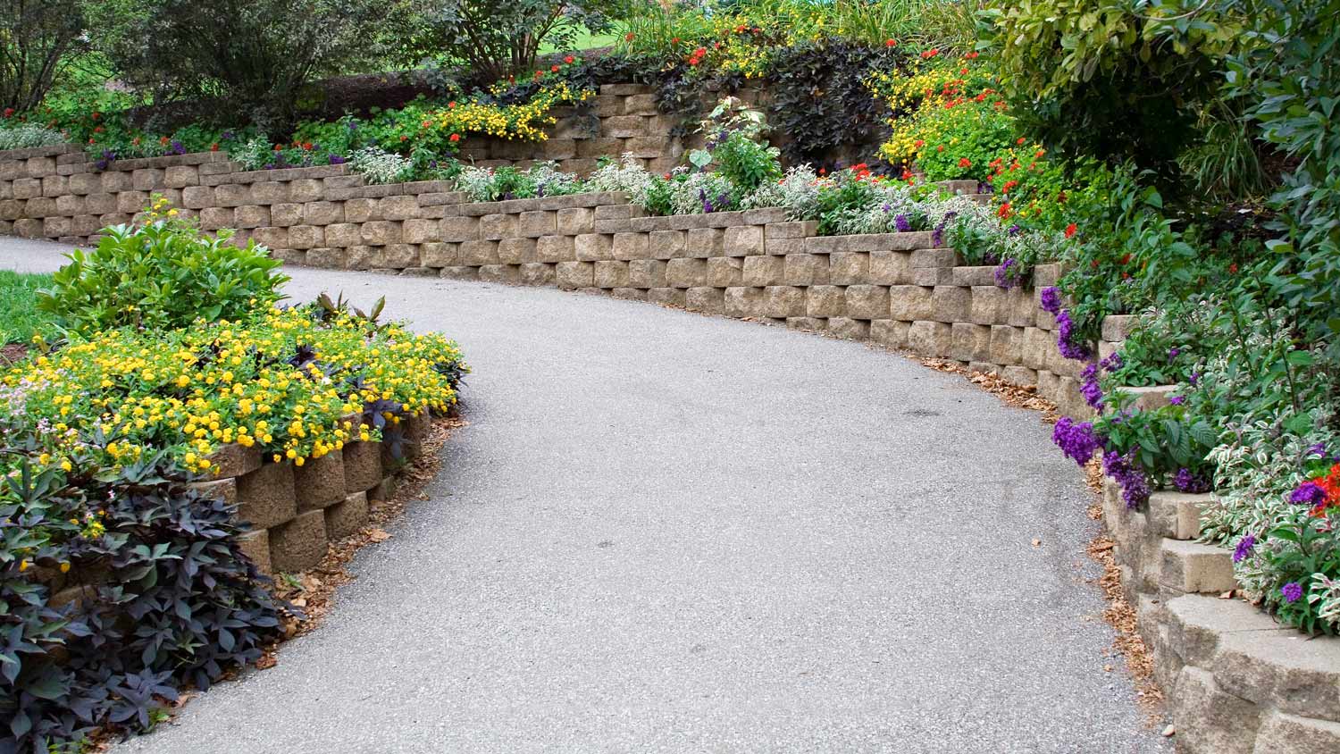 Flower lined driveway with wall
