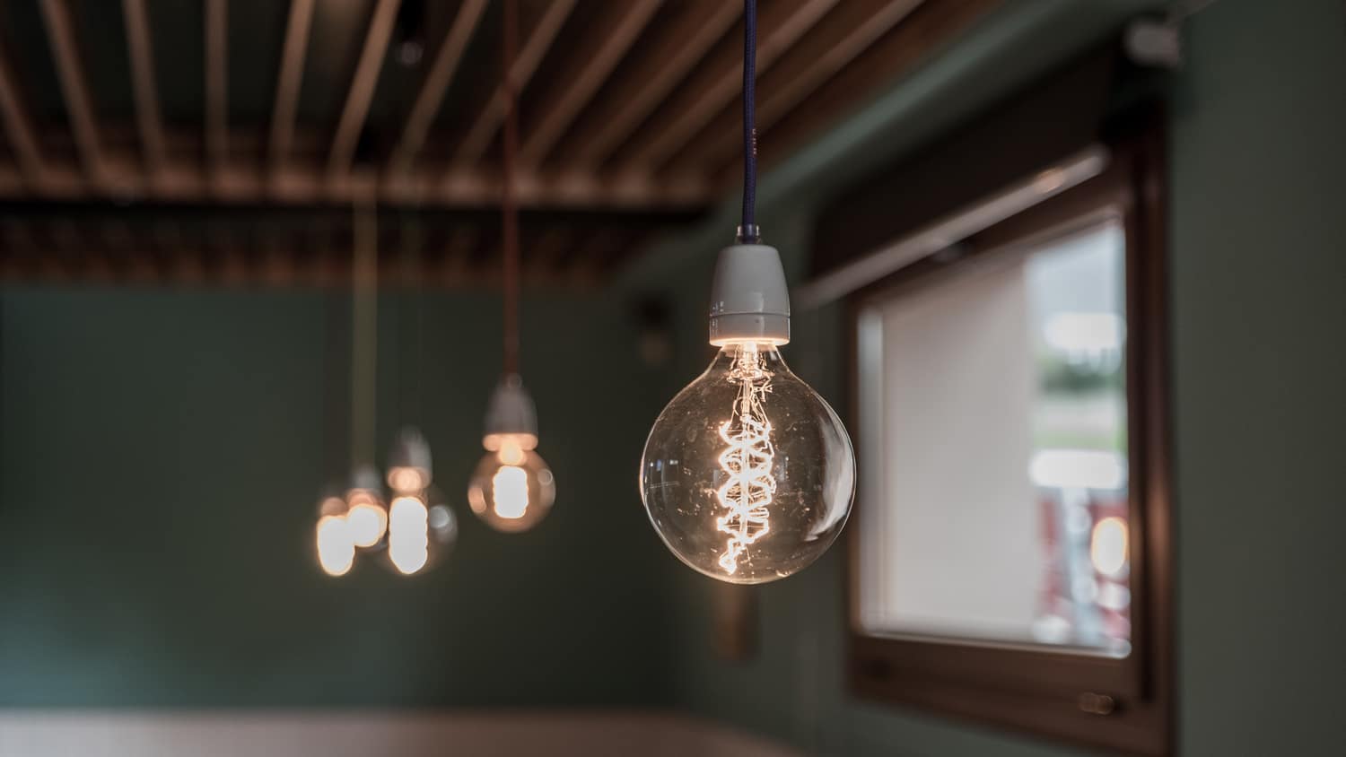 Halogen light bulbs hanging