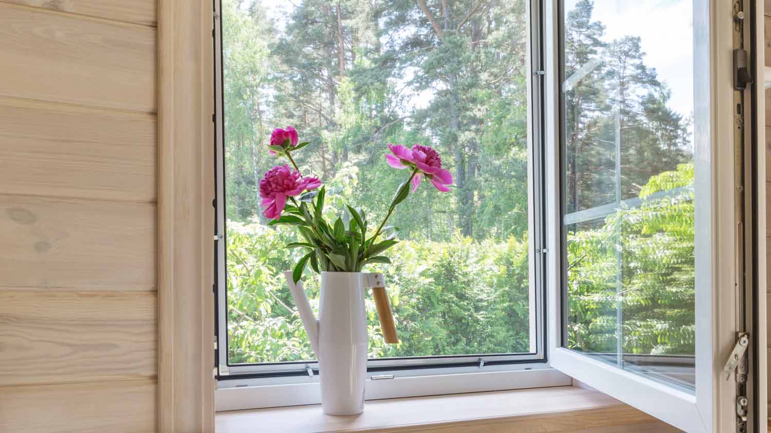 window screen overlooking garden