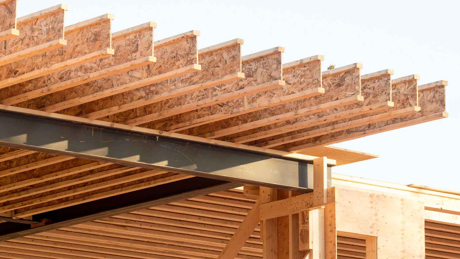 Wooden joists resting on a steel beam