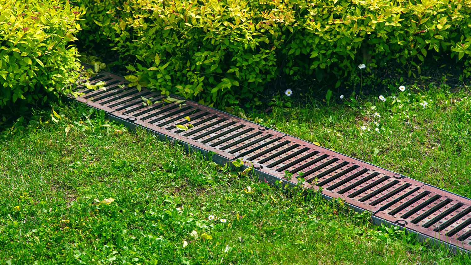 A grate drainage system on turf lawn