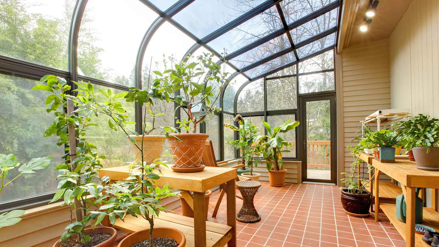 Home atrium with potted plants