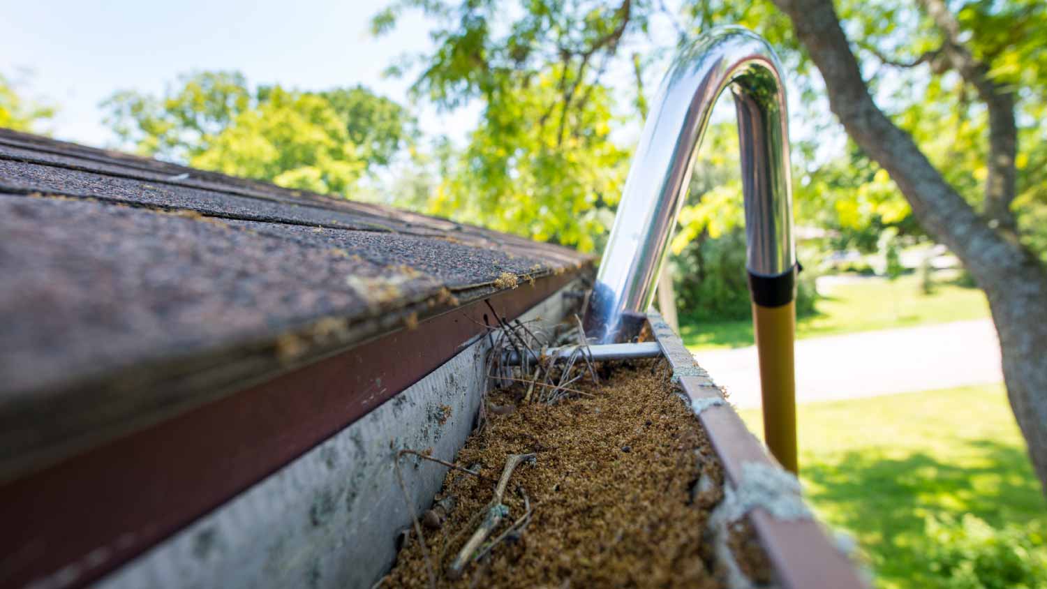 vacuum with a curved neck and cleaning out gutters