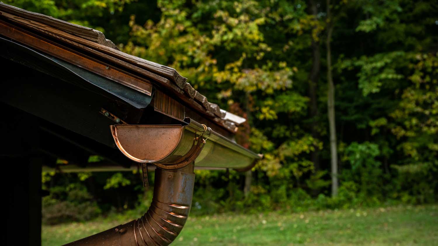 Copper gutters with nature in the background