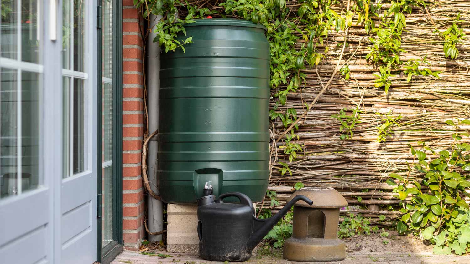 A green rain barrel