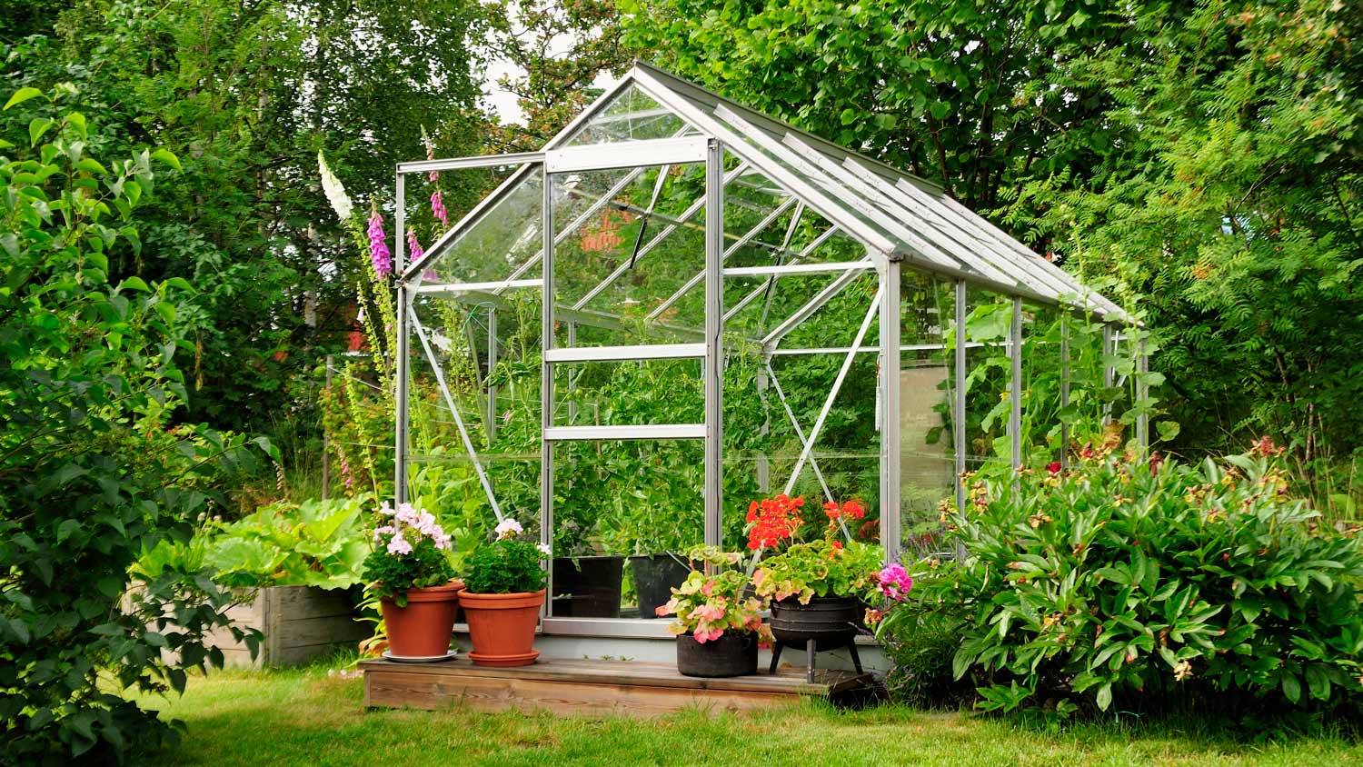 A green house full of flowers and plants