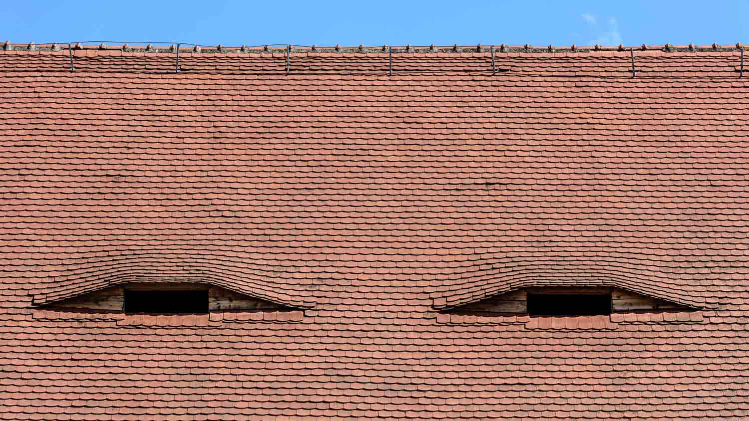 shingle roof with eye like windows