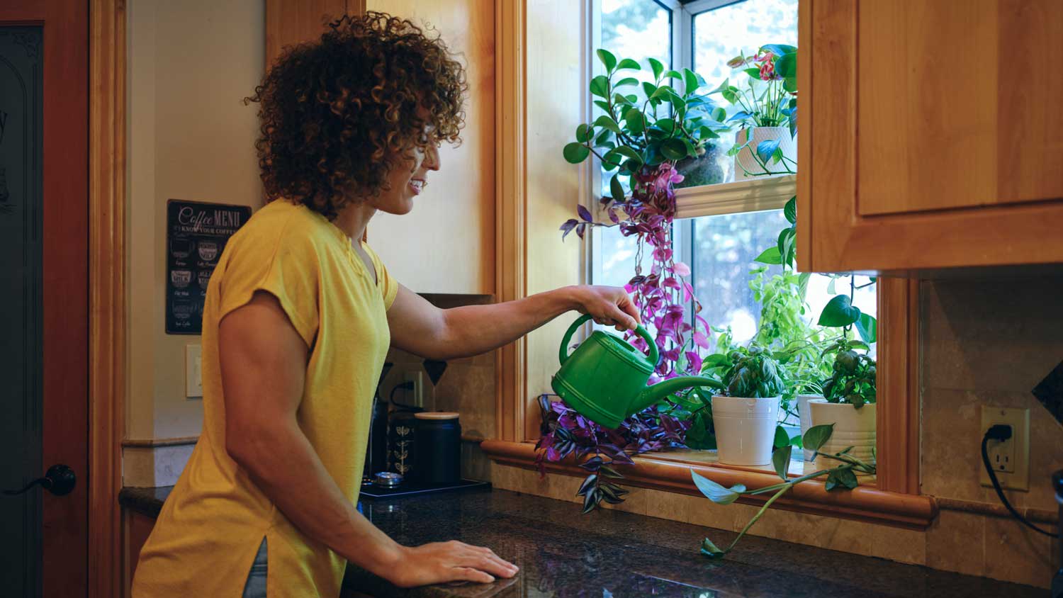 A woman watering plants in a garden window