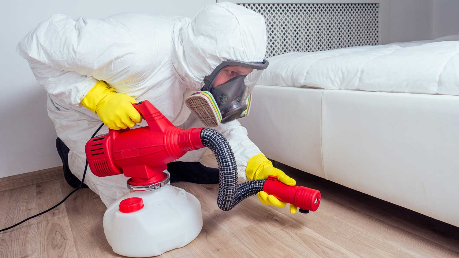 A professional spraying a bed for bed bugs