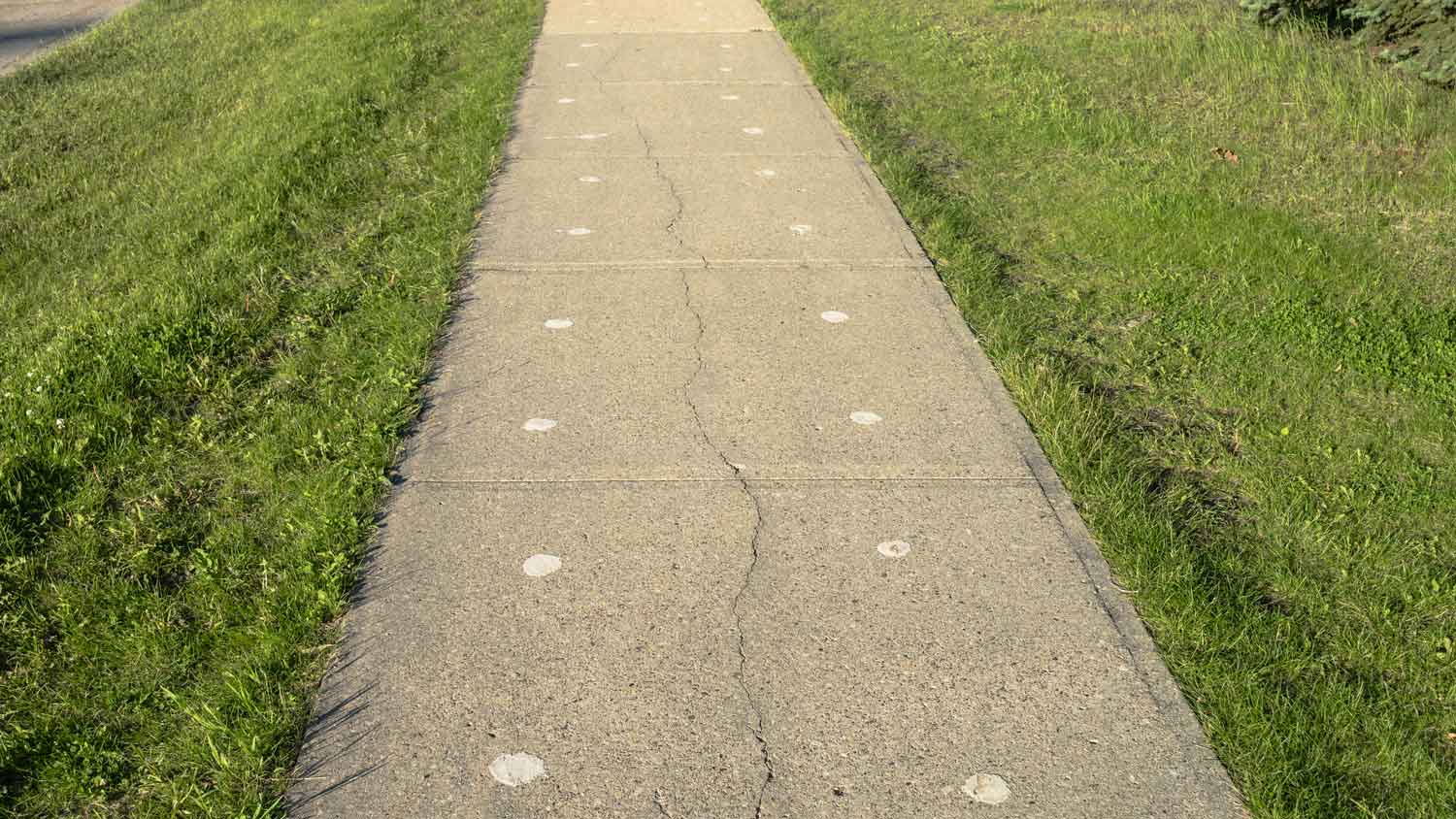A leveled sidewalk with mud lifting