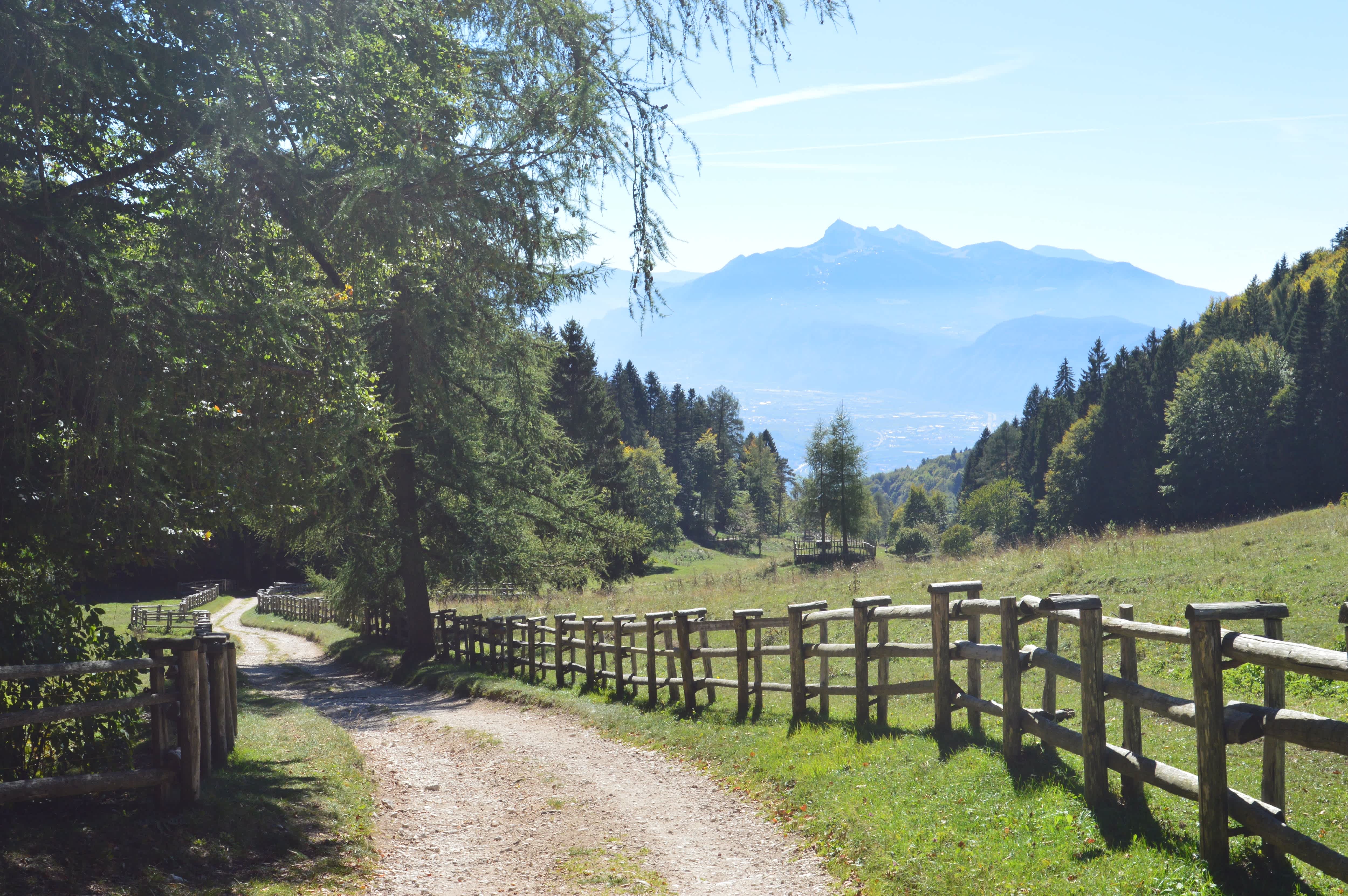 Ribbon style driveway in rural area