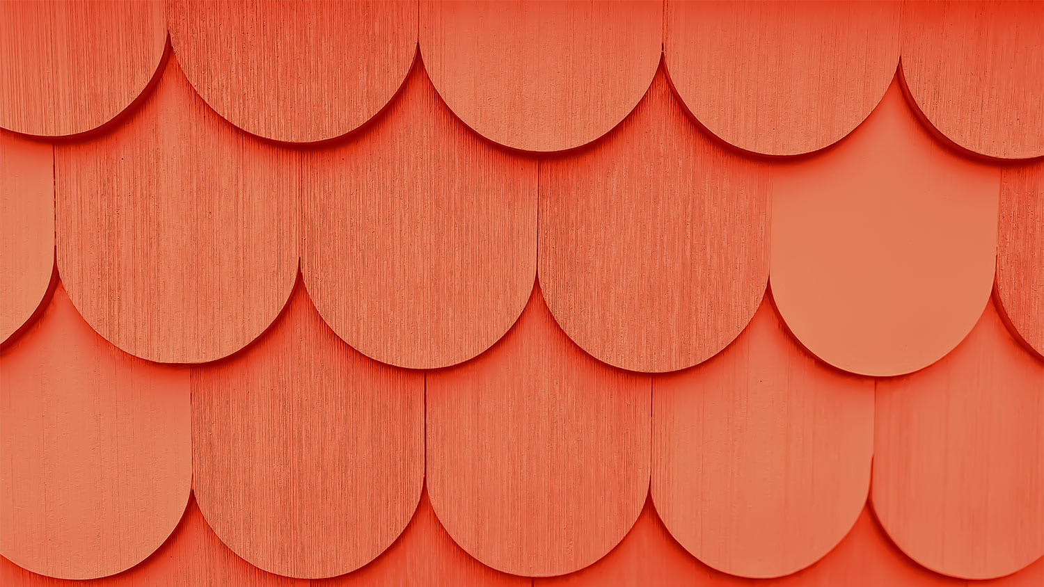 salmon colored scallop pattern background