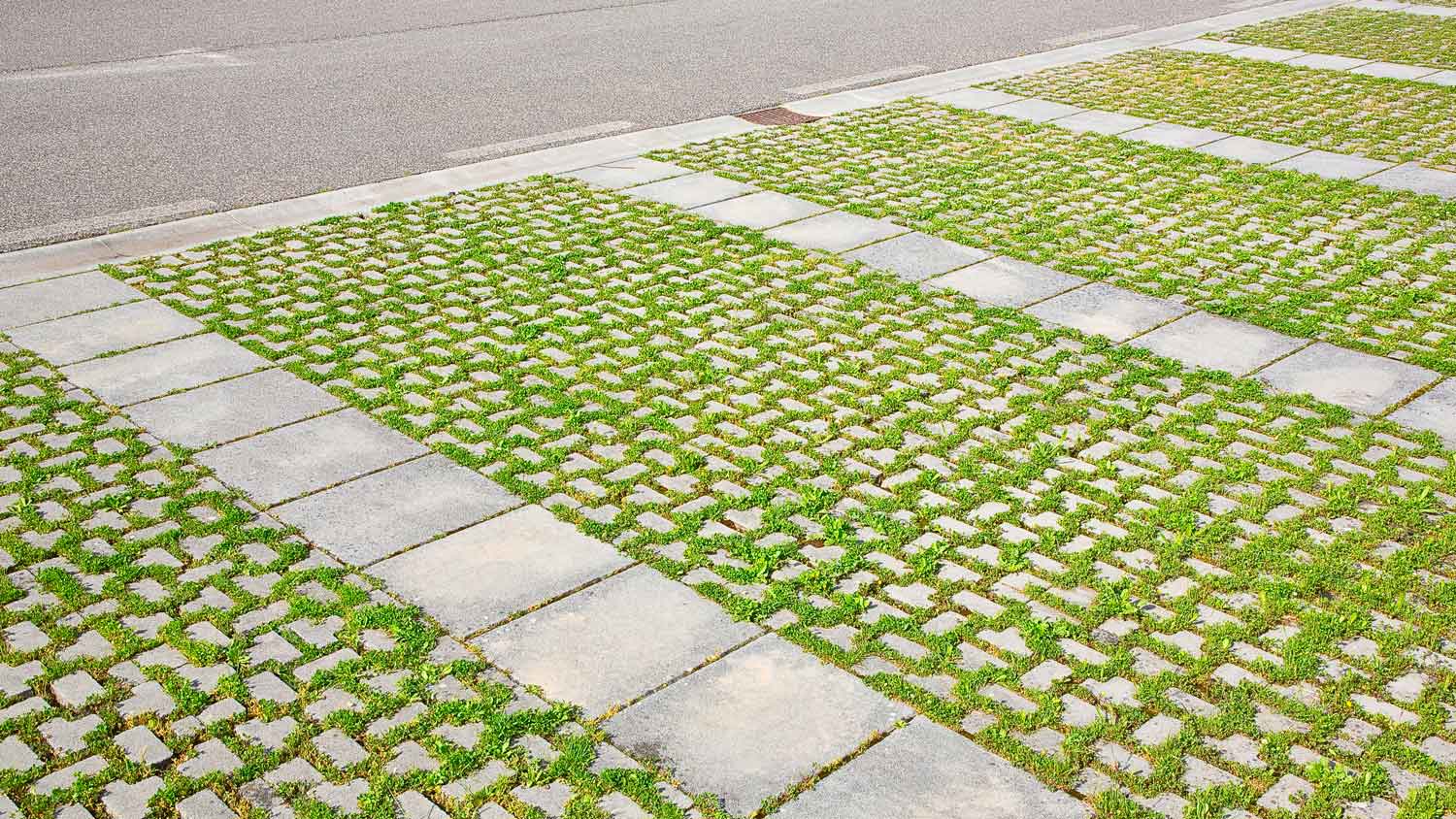 Concrete blocks and grass form driveway