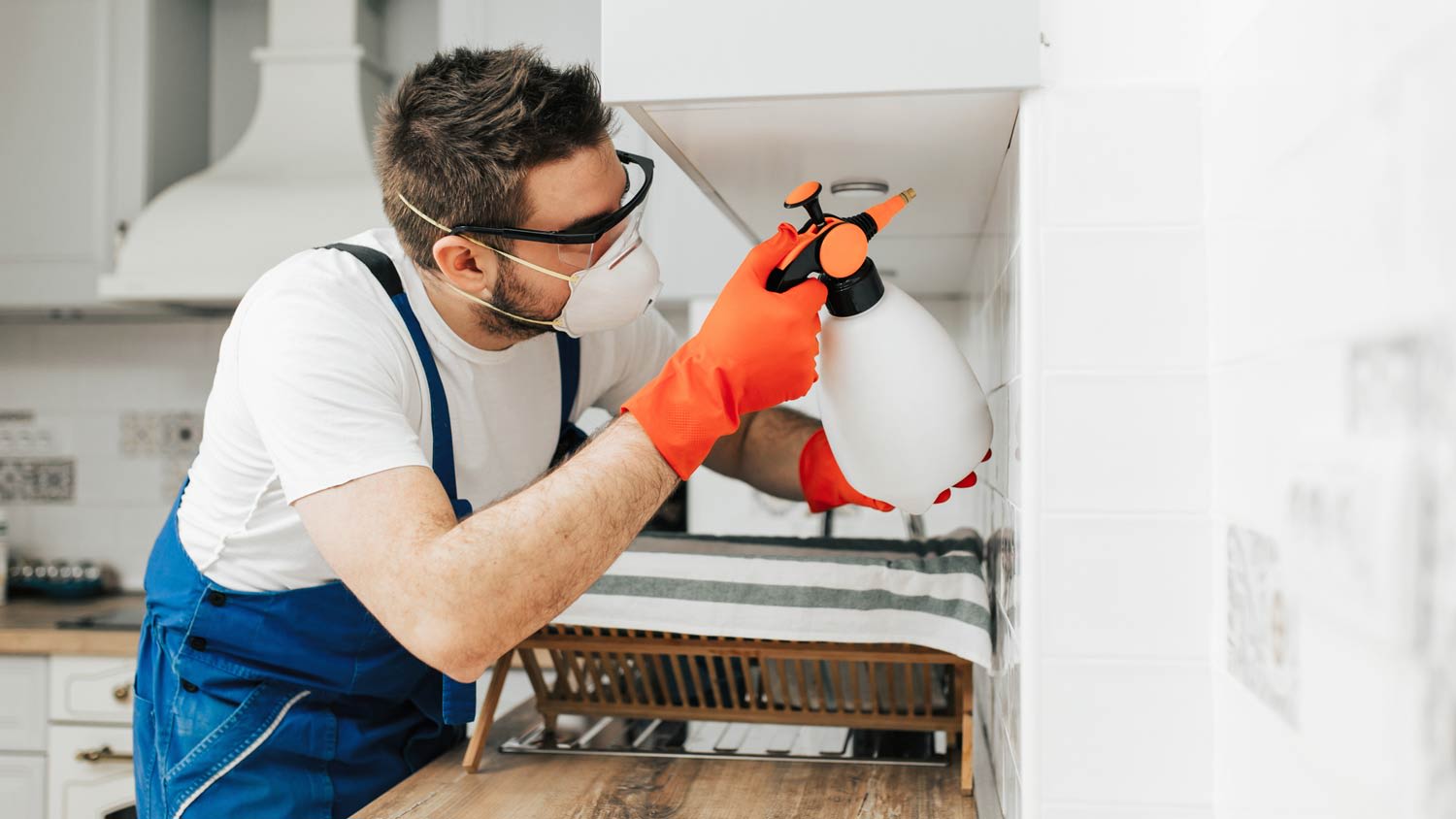 A professional placing gel traps below kitchen cabinets