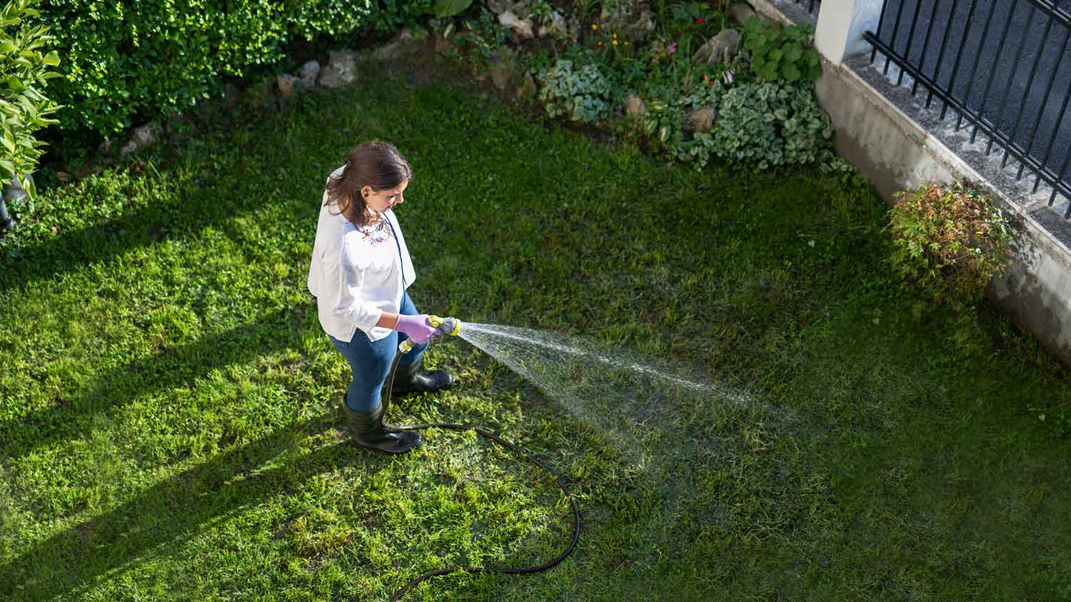 Woman watering the lawn in the afternoon