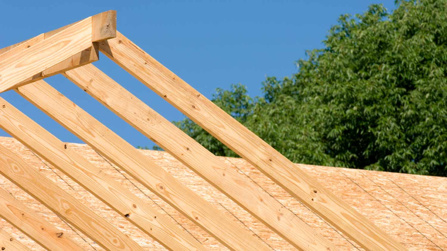 House roof under construction