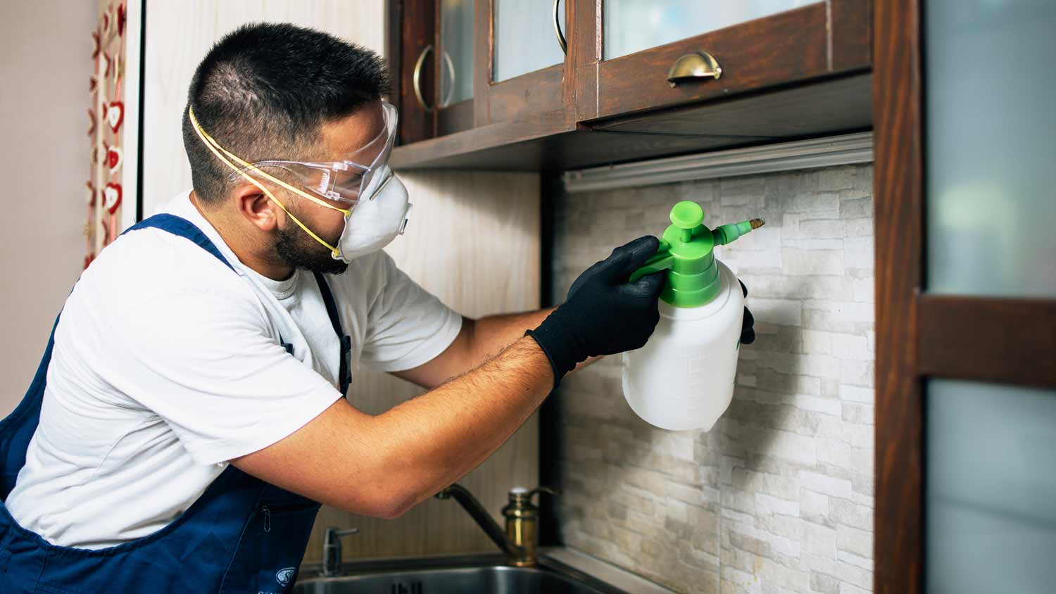 professional exterminator spraying kitchen