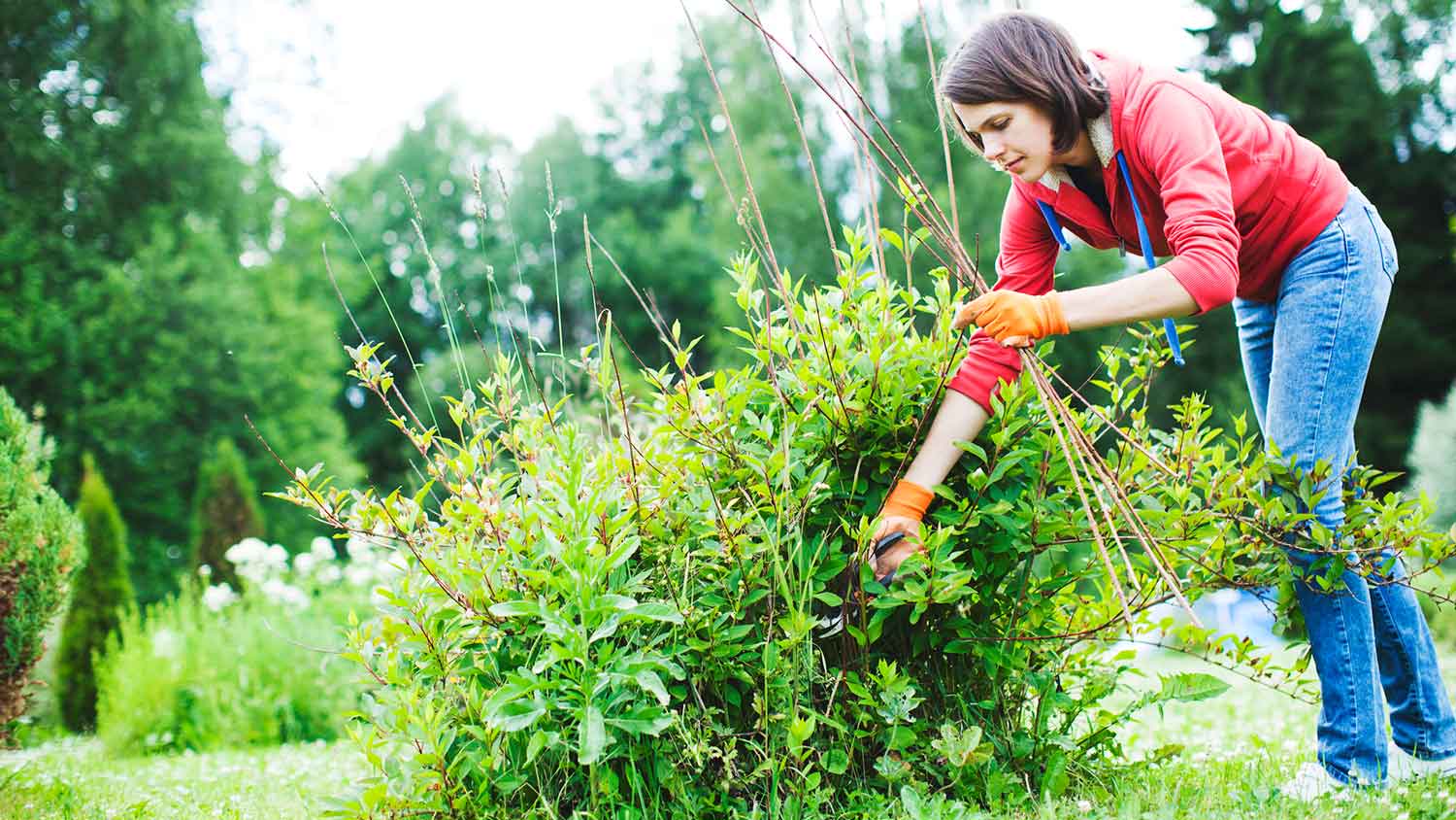 Young woman doing yard maintenance