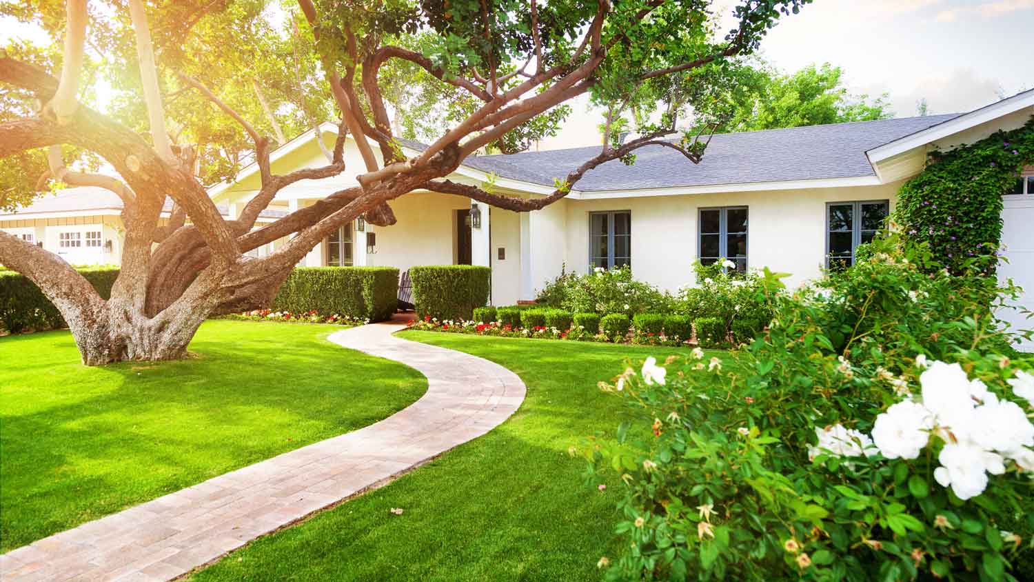 A beautiful house with a large tree