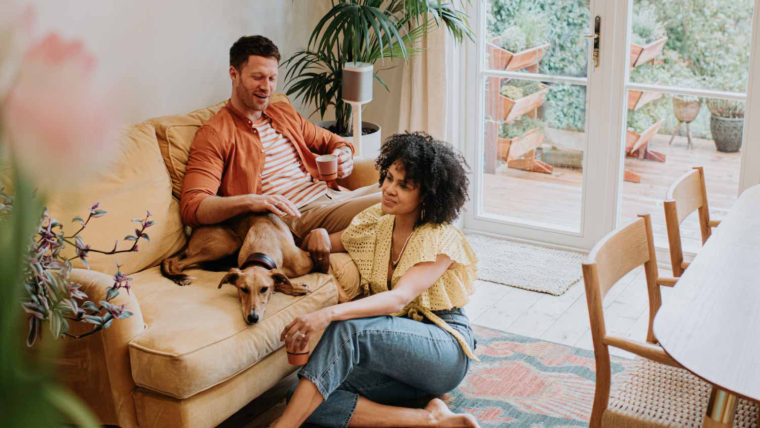 Can Fleas Live On Your Furniture? | Angi