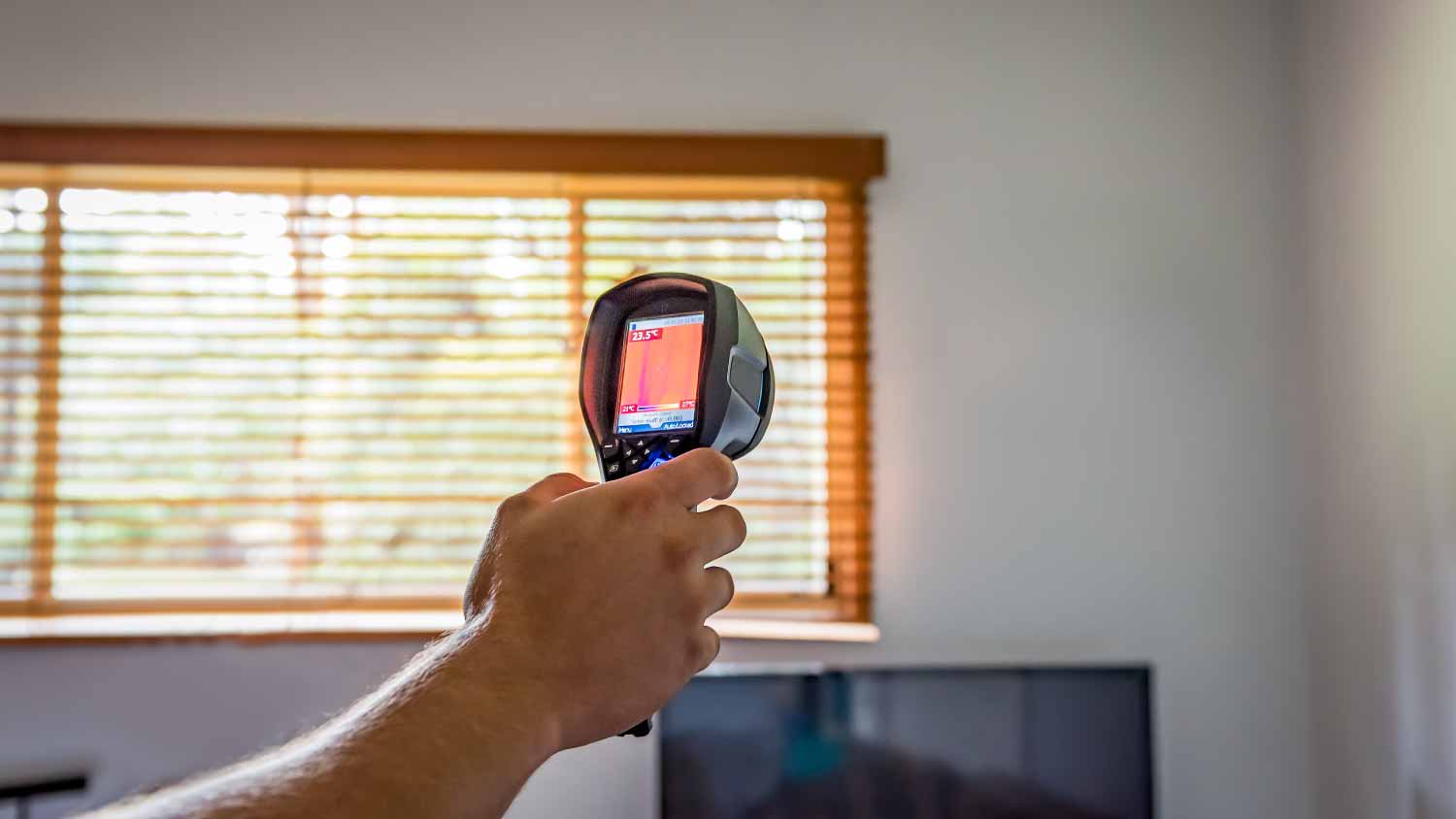 Infrared camera used for termite detection