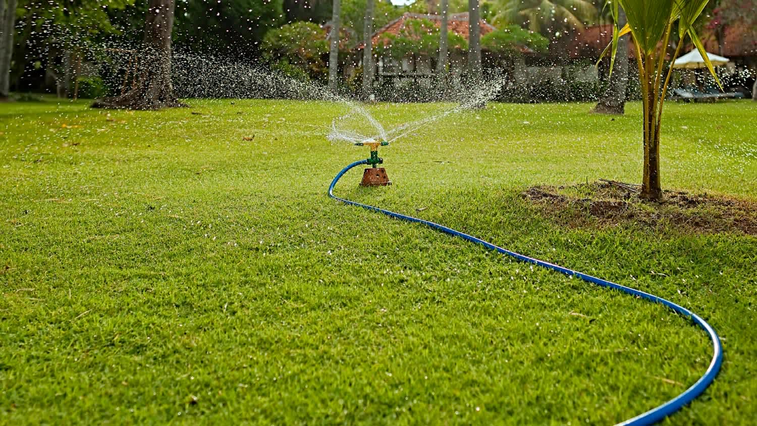 An automatic watering system