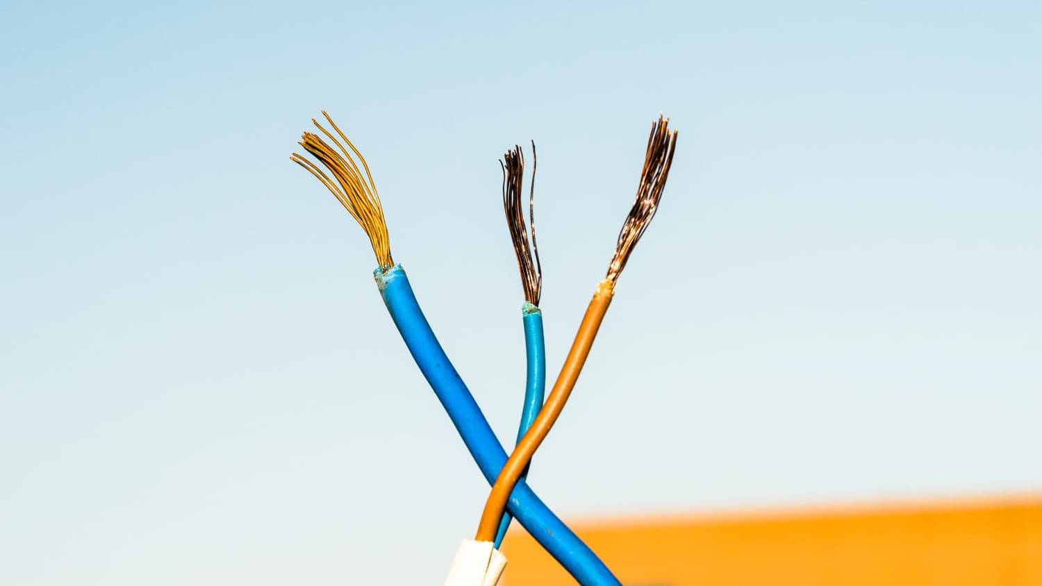 close up shot of blue and brown wire
