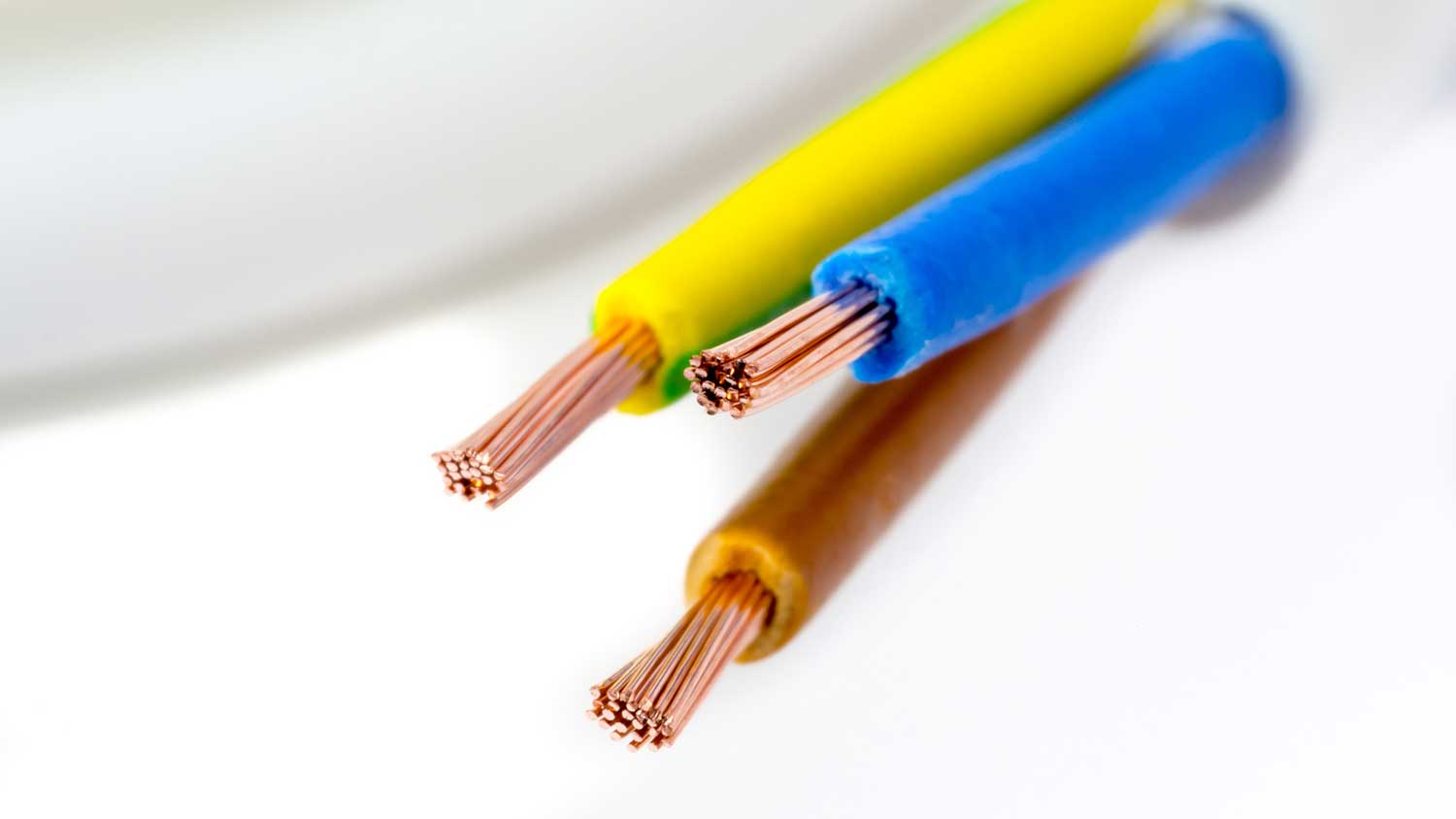 Stripped power cord showing stranded wires