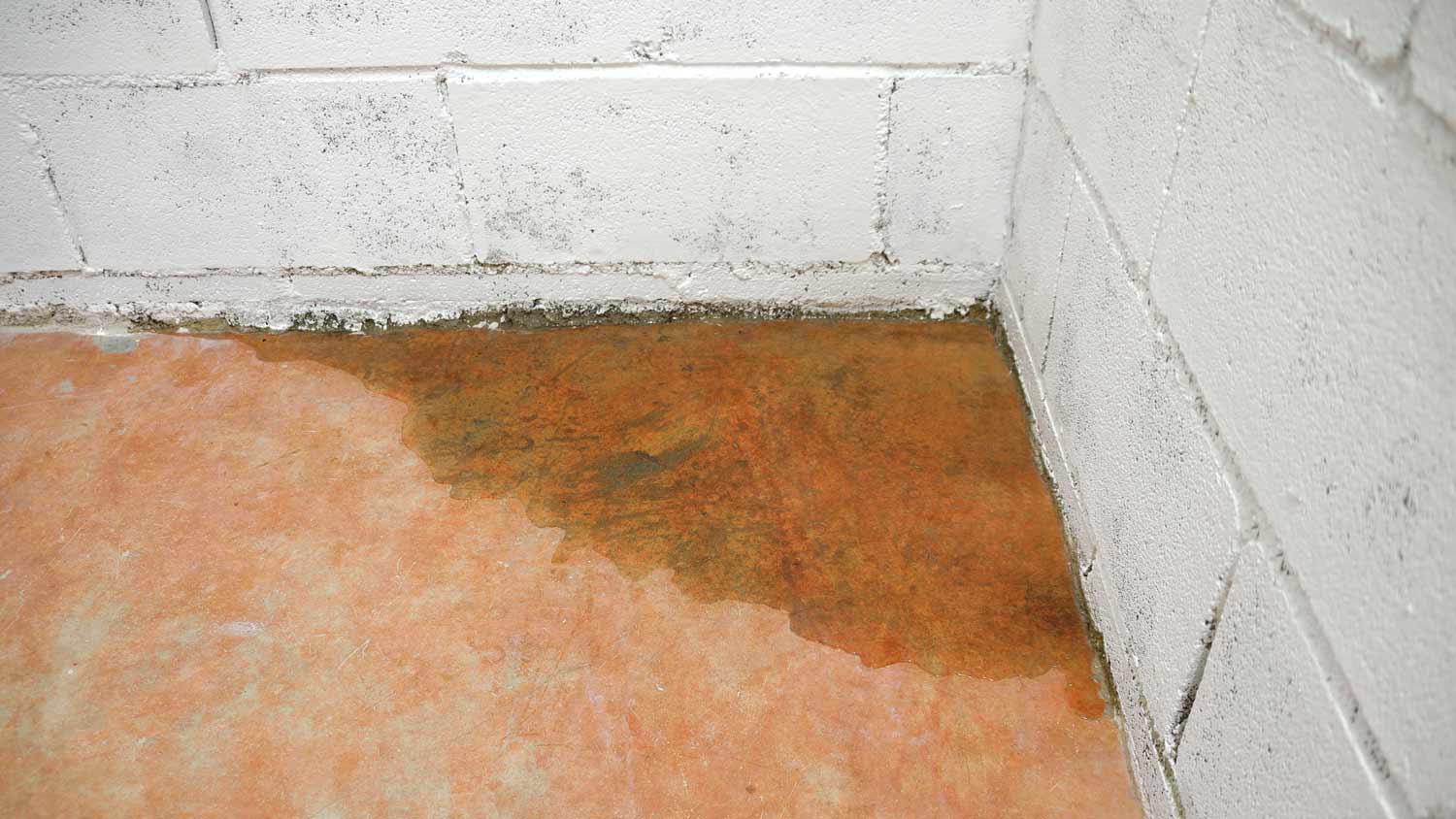 basement with slab leak water damage