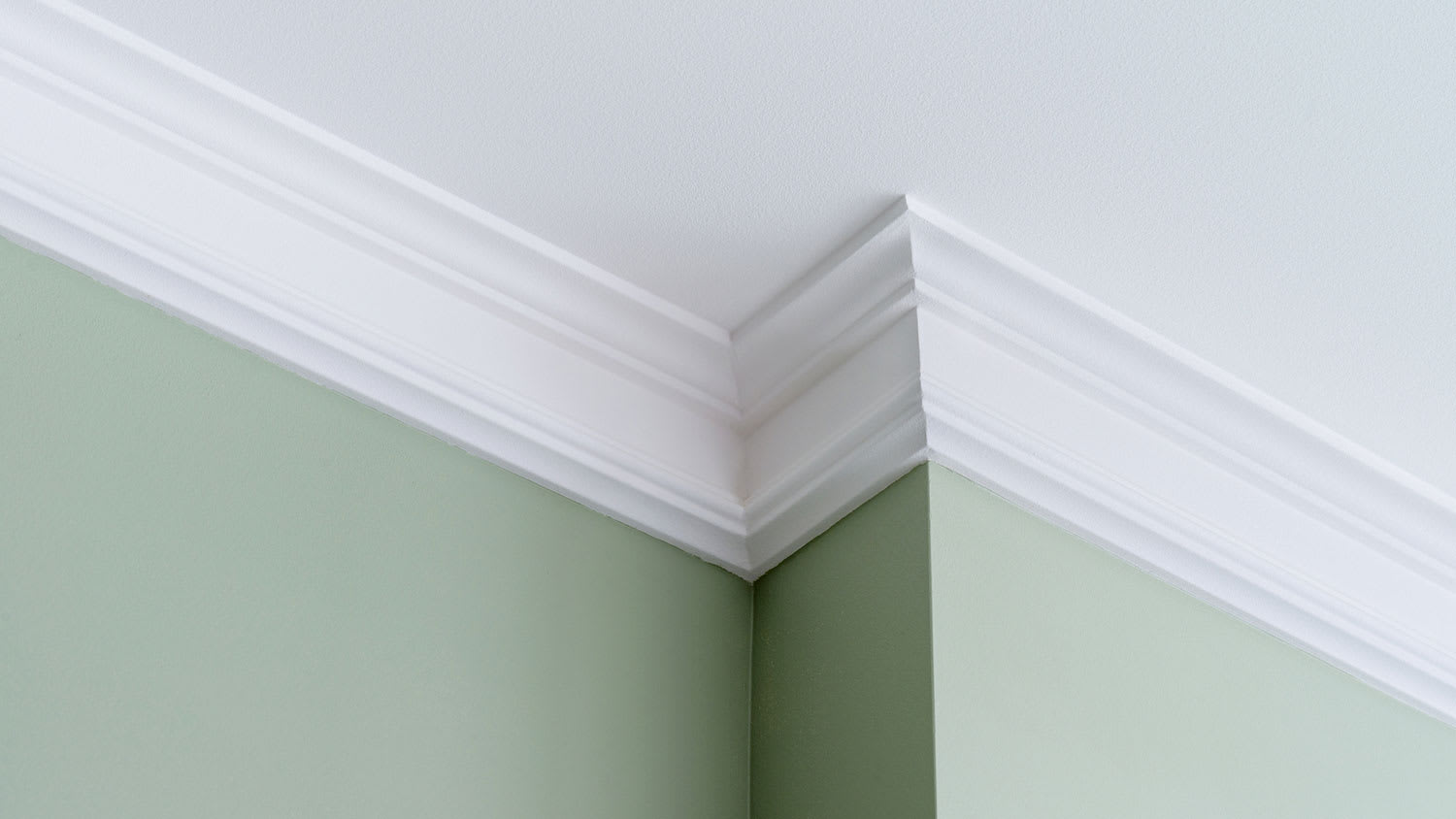 Green wall with white crown molding