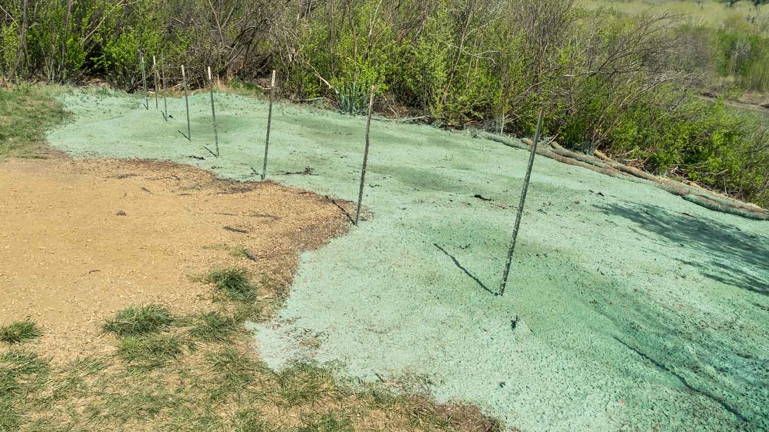 Hydroseeding slurry sprayed over the grass