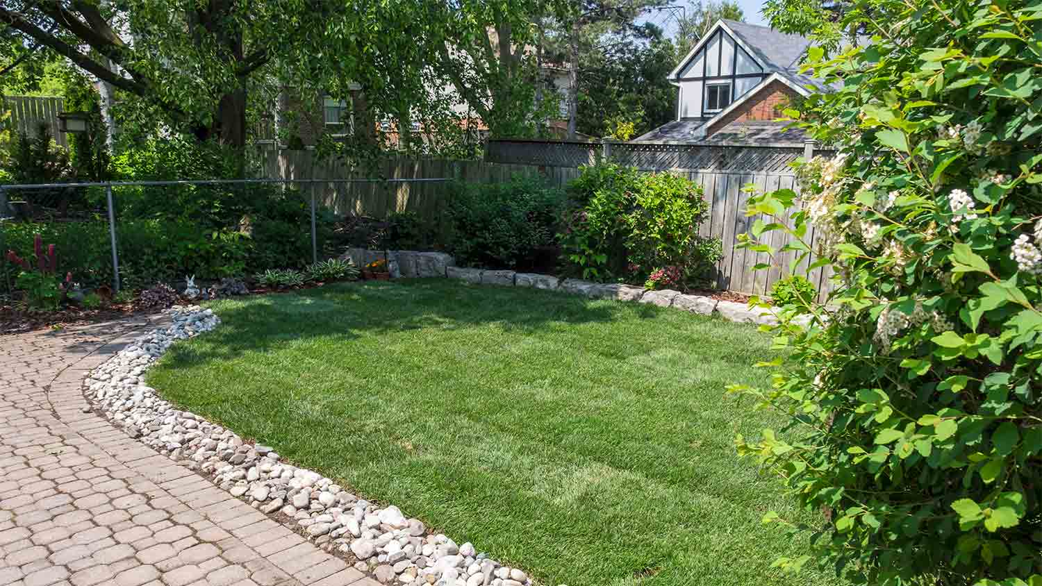 backyard with new sod patches