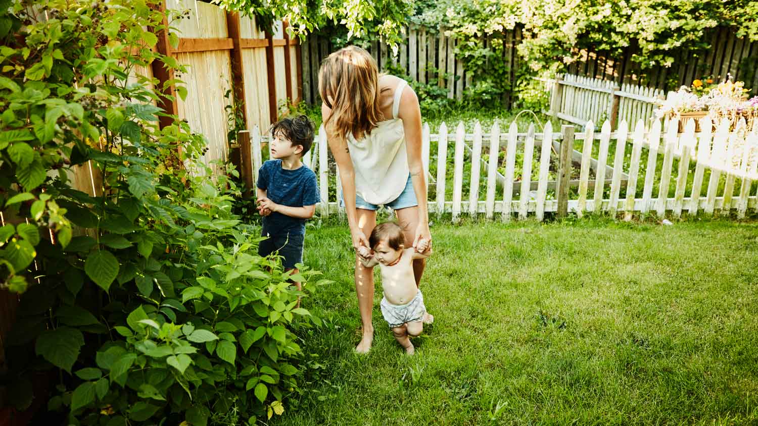 A mother with her sons picking raspberries in their garden