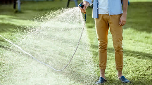 Man watering new sod lawn