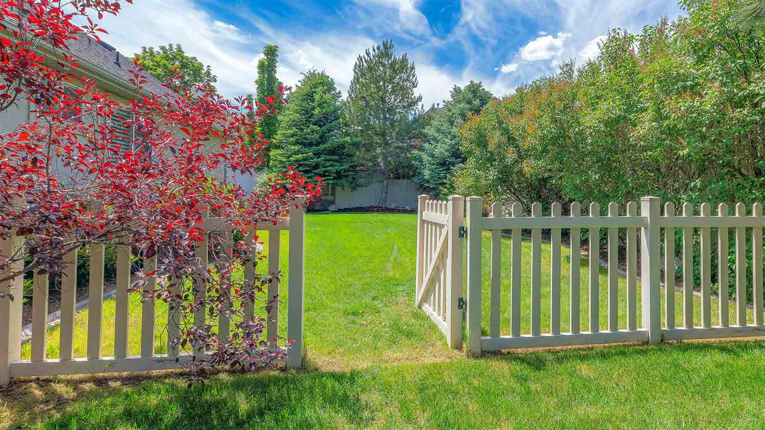 white picket fence in beautiful yard