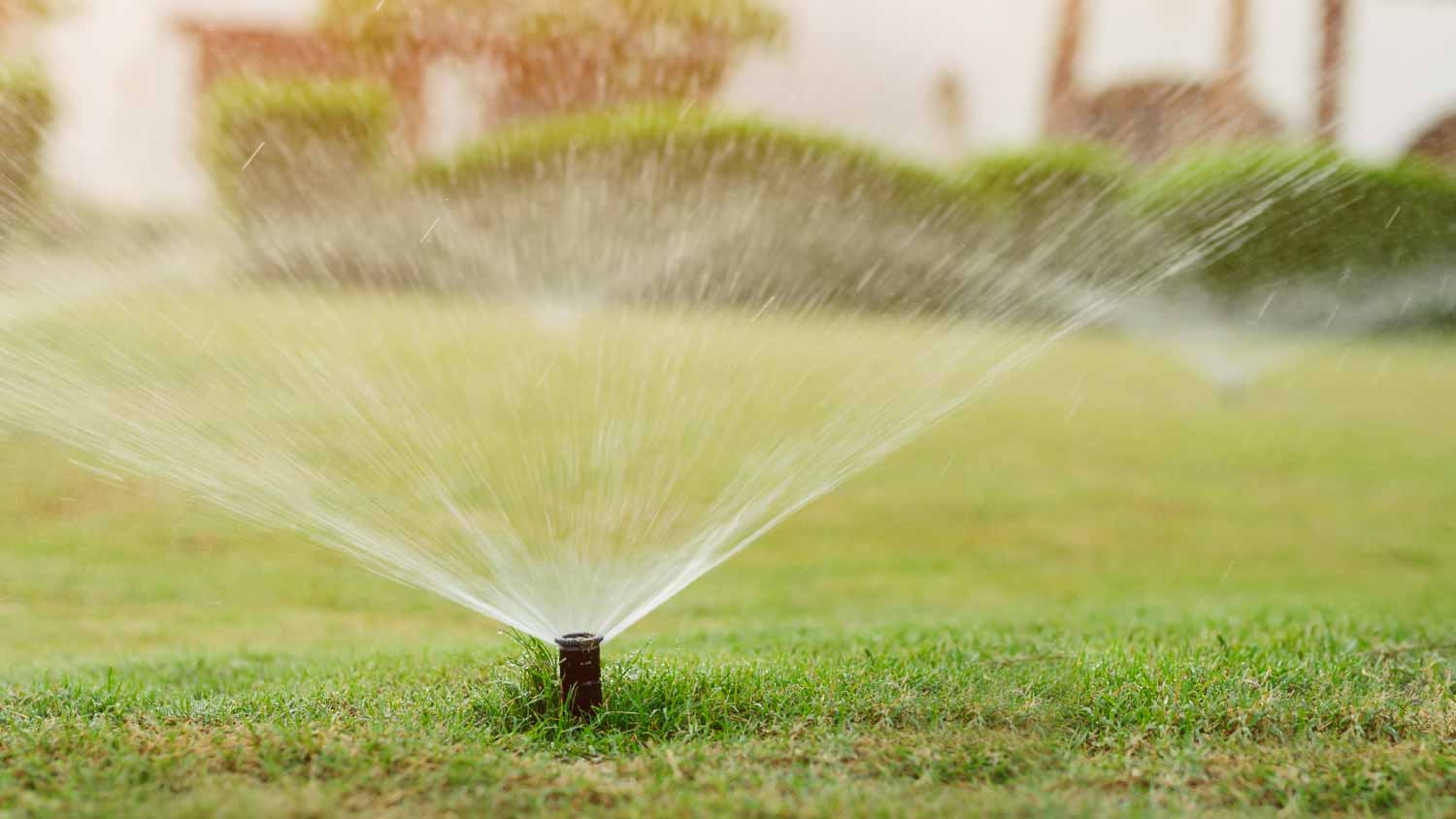 Automatic garden lawn sprinkler
