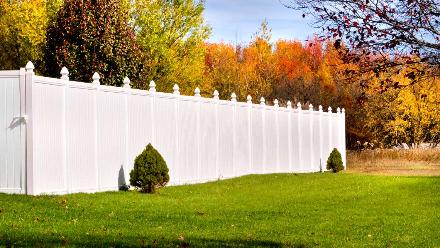 tall vinyl fence surrounding home