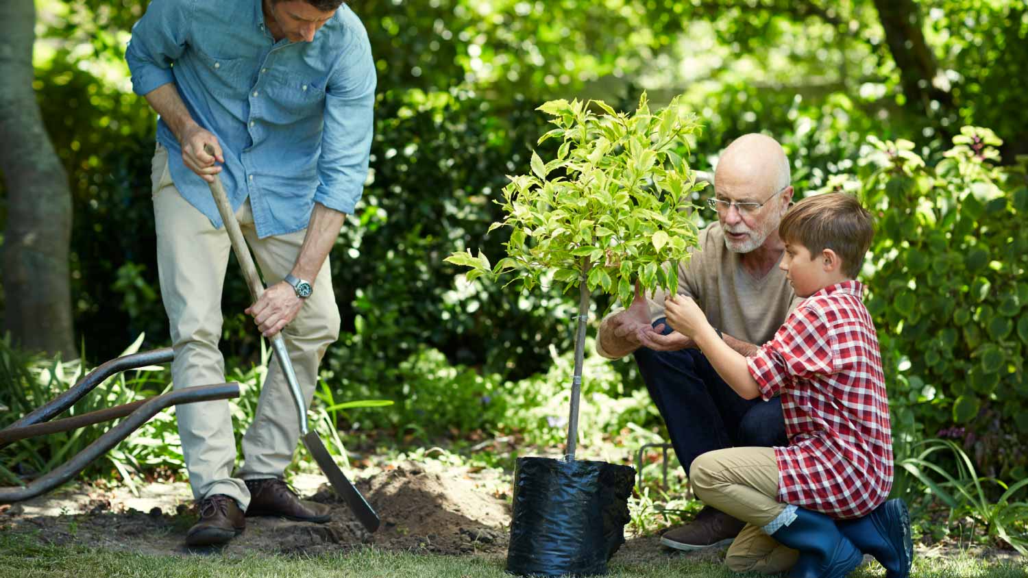 Family gardening together