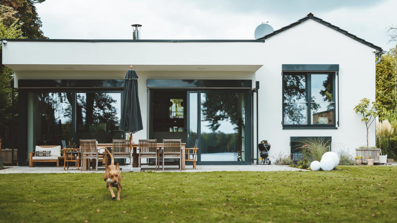 Dog running in front of house at backyard