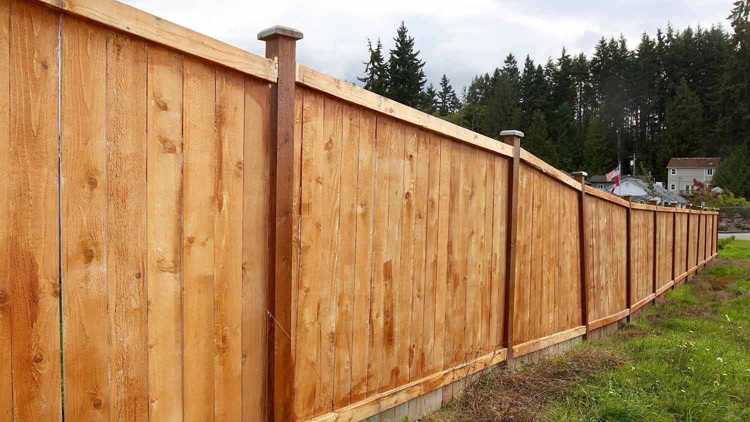 A newly built cedar fence