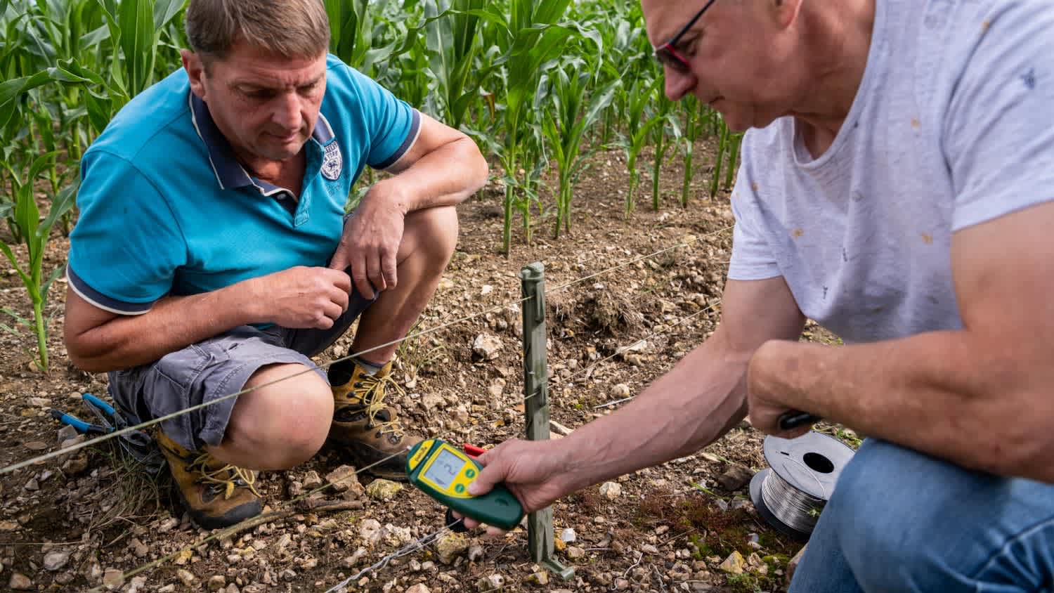 Worker checking electric fence