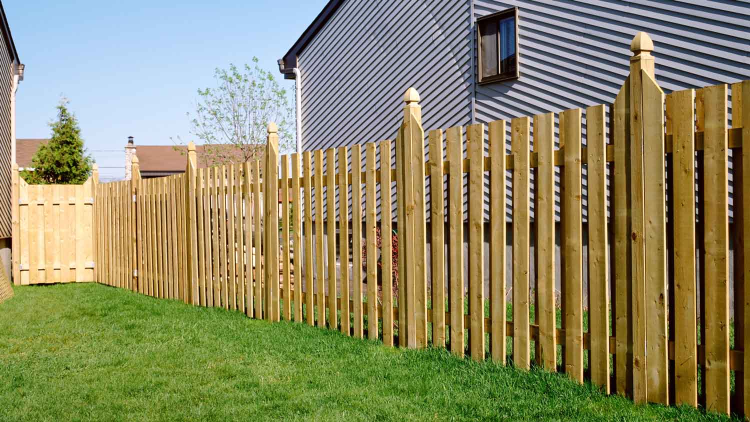 A fence with wooden posts
