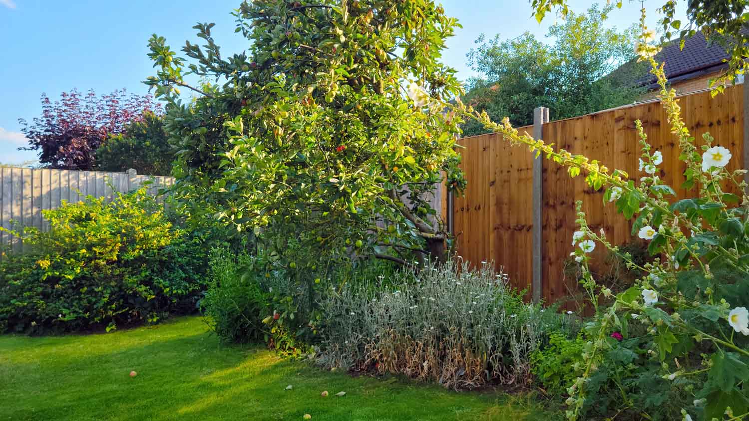 A lush garden with wooden fencing