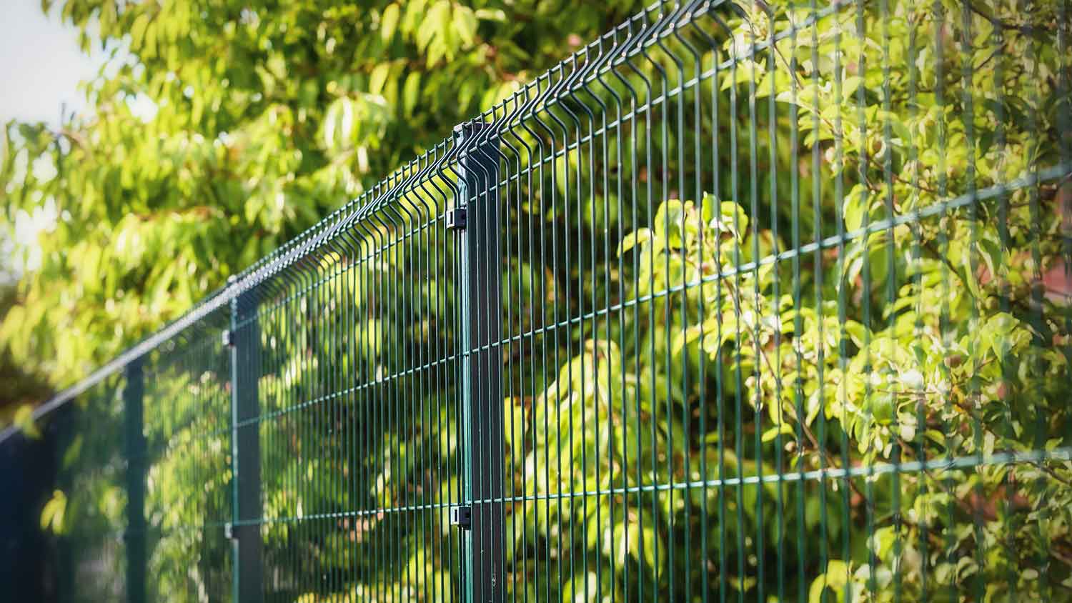 Welded wire fencing in the backyard