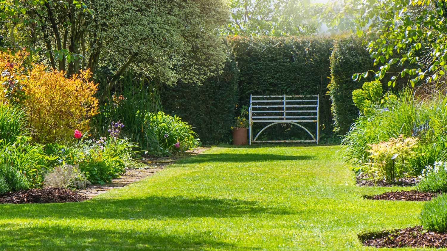 White bench on the grass in a summer