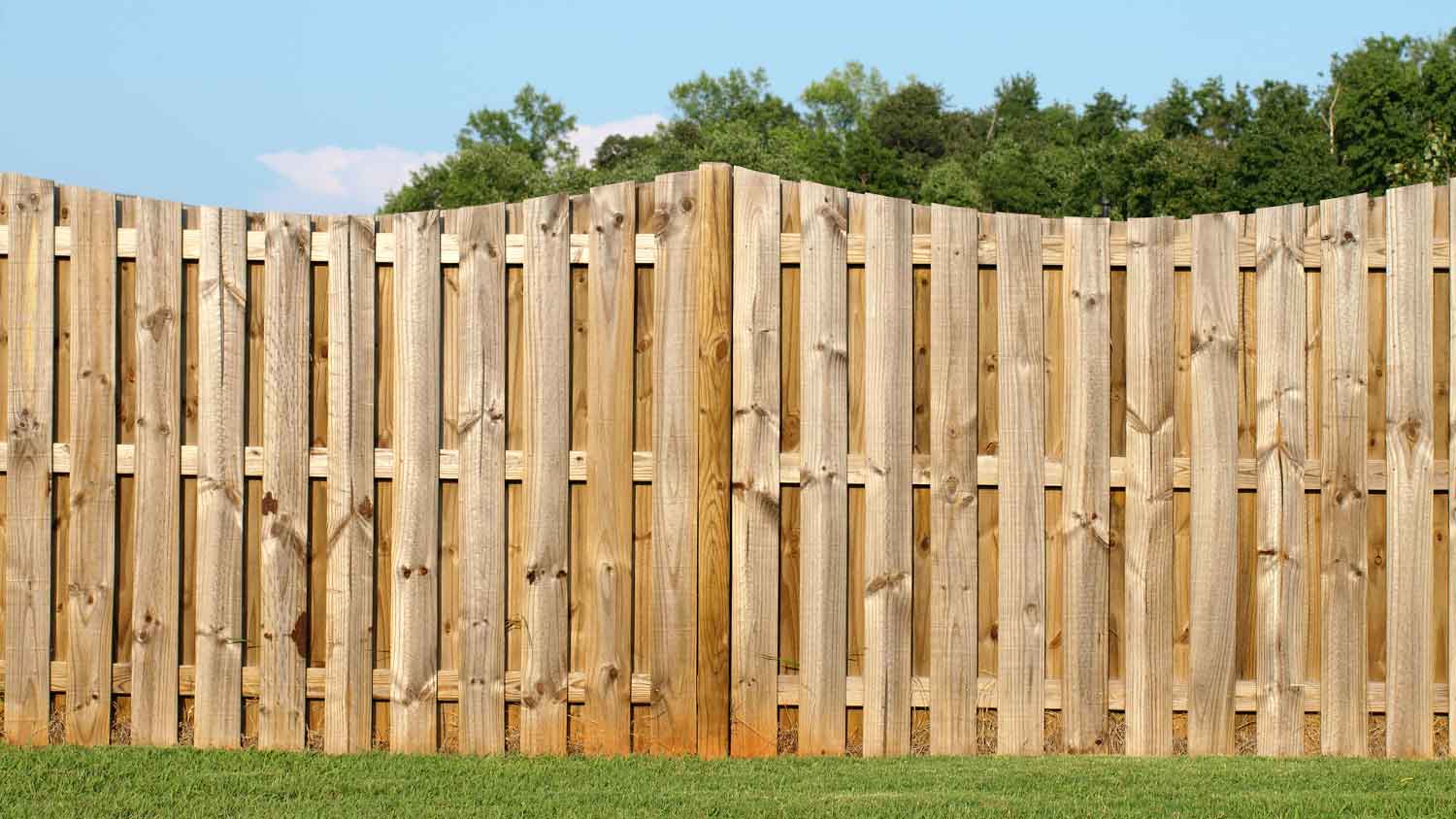 Arched shadow box fence in a yard