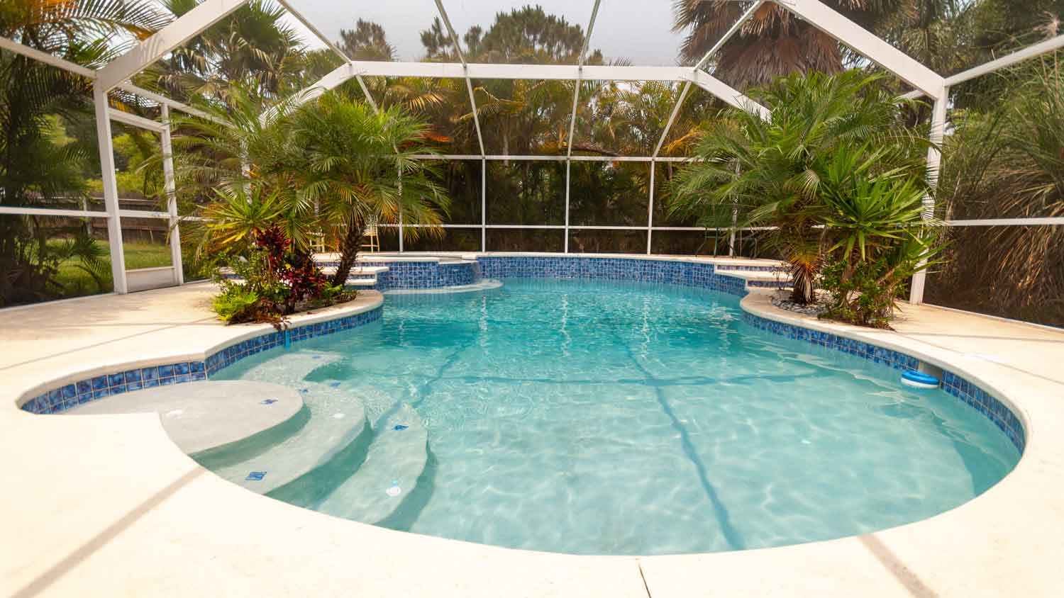 A backyard pool with enclosure and plants on its sides