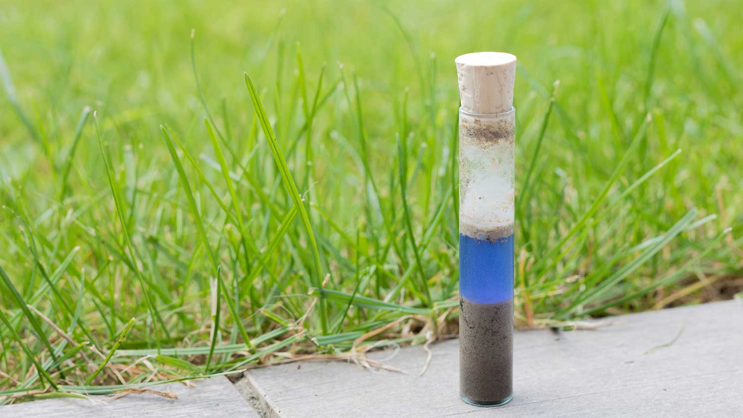 Checking soil ph value with a testing kit