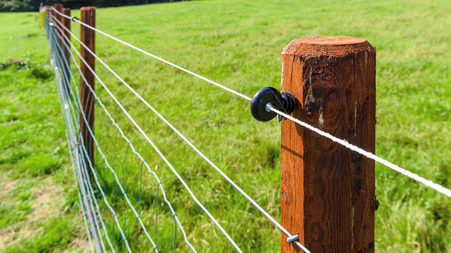 Electric wire running along fence installed in a field