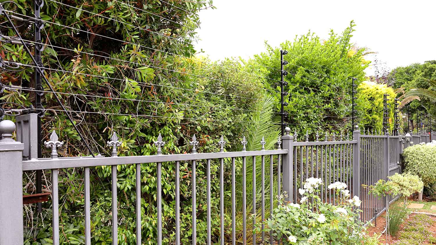 Residence surrounded with aluminum electric wire fence